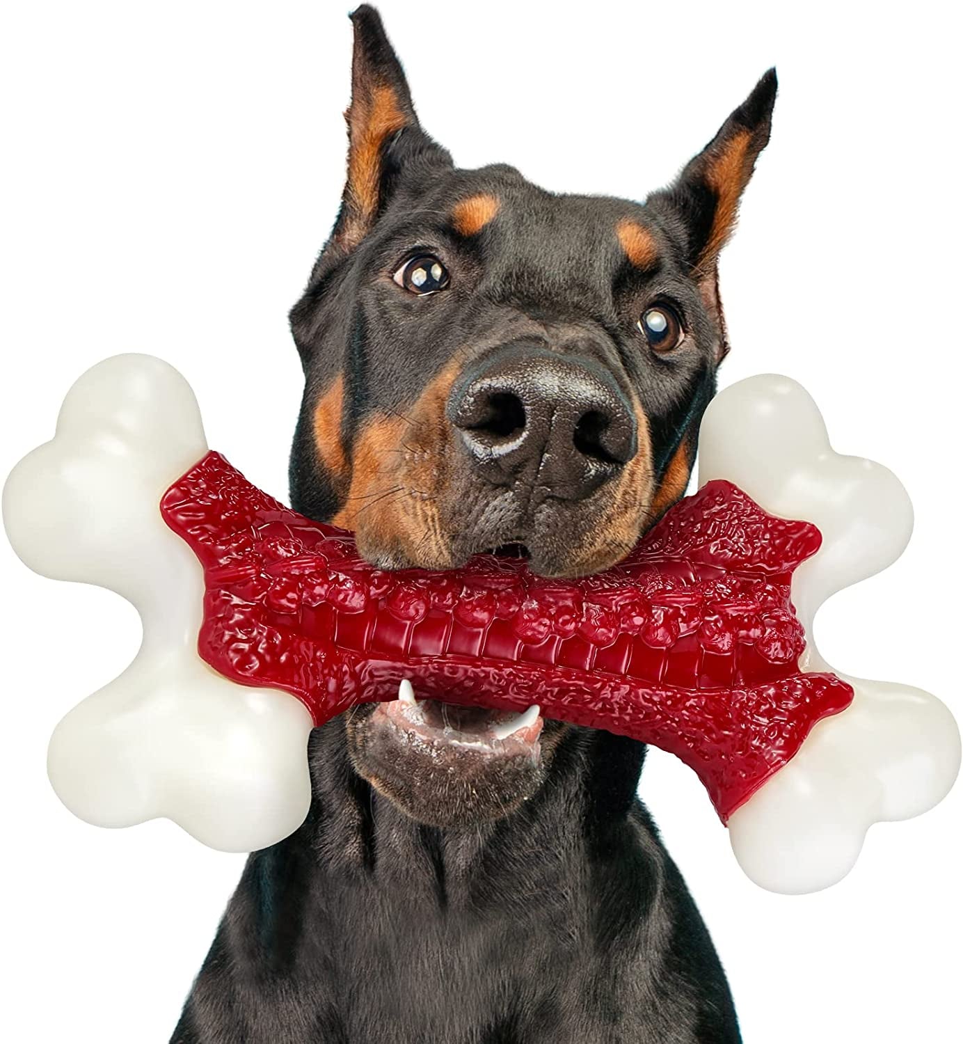 Tough Dog Toys, Toys for Aggressive Chewers Large Breed, Bone Toy Nylon Dogs Almost Indestructible