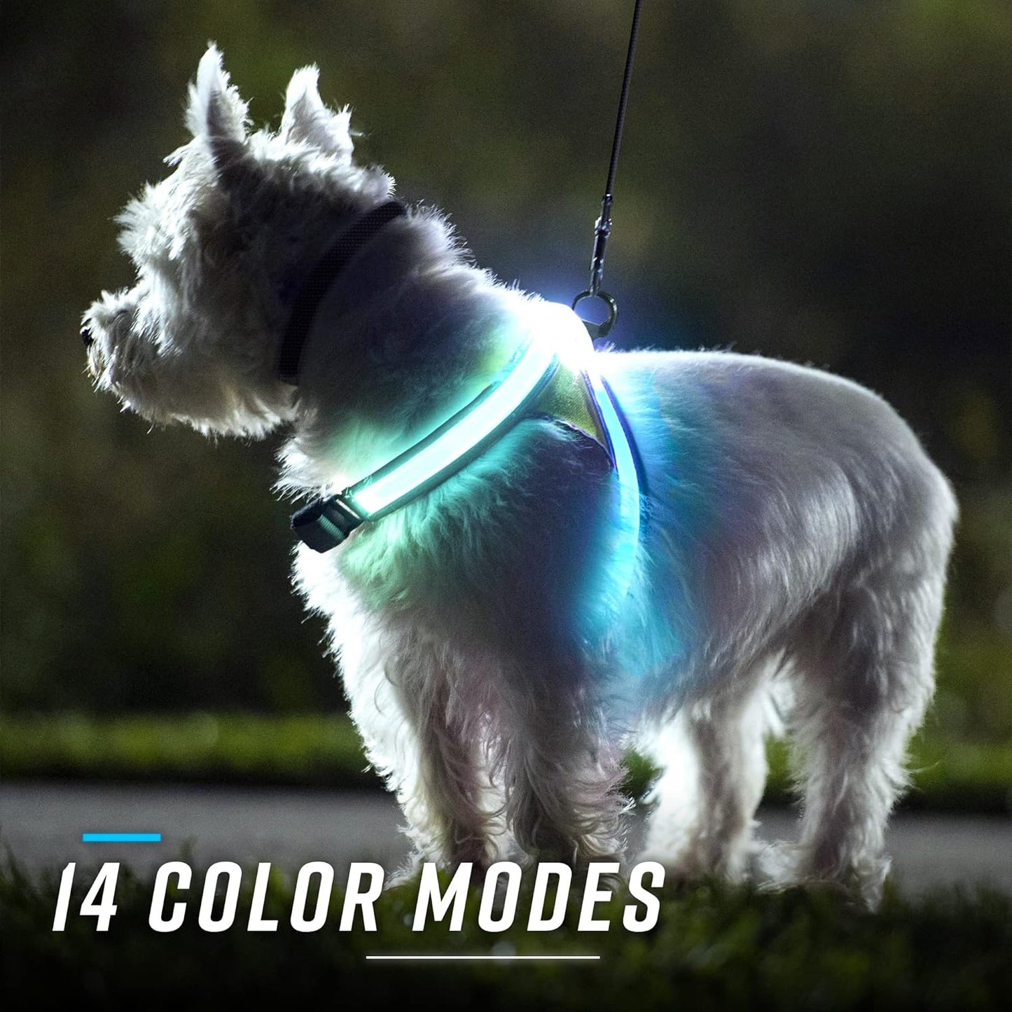 Lighthound – Revolutionary Illuminated and Reflective Harness for Dogs Including Multicolored LED Fiber Optics (USB Rechargeable, Adjustable, Lightweight, Rainproof)