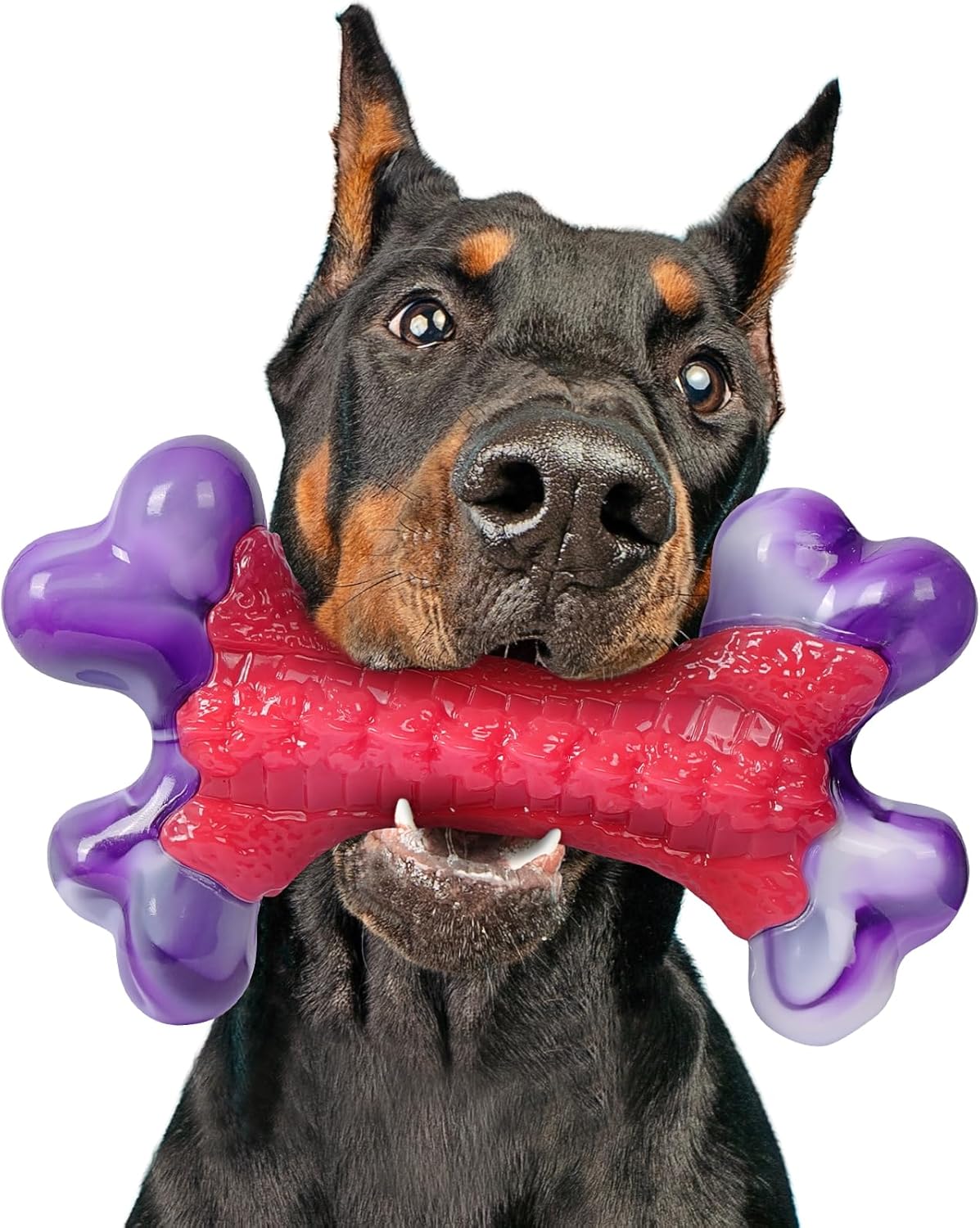 Tough Dog Toys, Toys for Aggressive Chewers Large Breed, Bone Toy Nylon Dogs Almost Indestructible