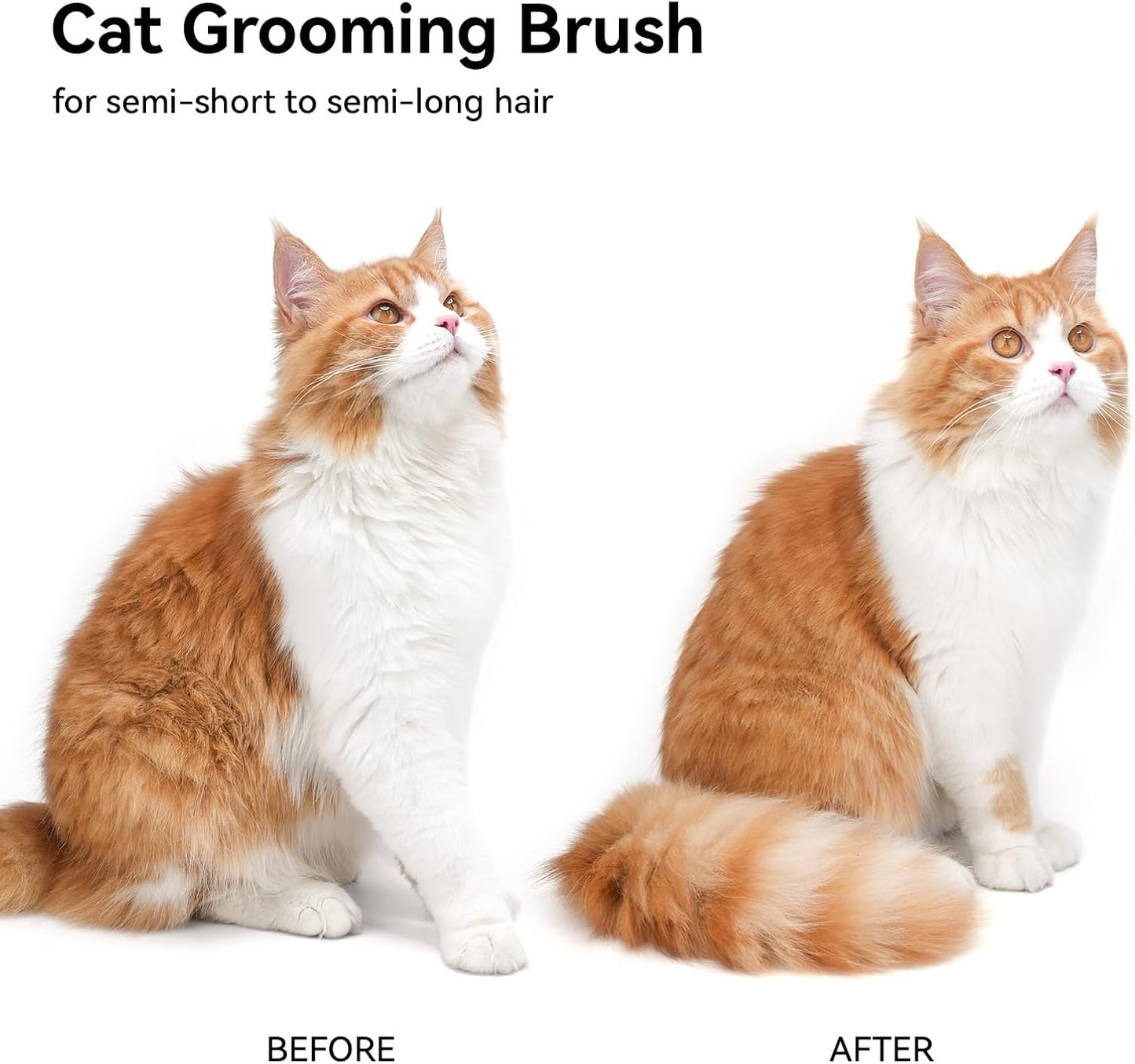 Cat Brush for Shedding, Cat Brushes for Indoor Cats, Cat Brush for Long or Short Haired Cats, Cat Hair Brush Cat Grooming Deshedding Brush for Dog Kitten Rabbit Massage Removes Loose Fur, White