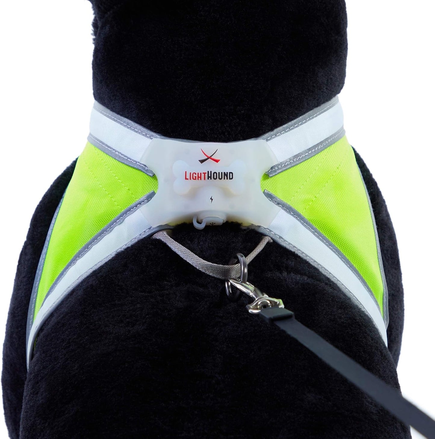Lighthound – Revolutionary Illuminated and Reflective Harness for Dogs Including Multicolored LED Fiber Optics (USB Rechargeable, Adjustable, Lightweight, Rainproof)