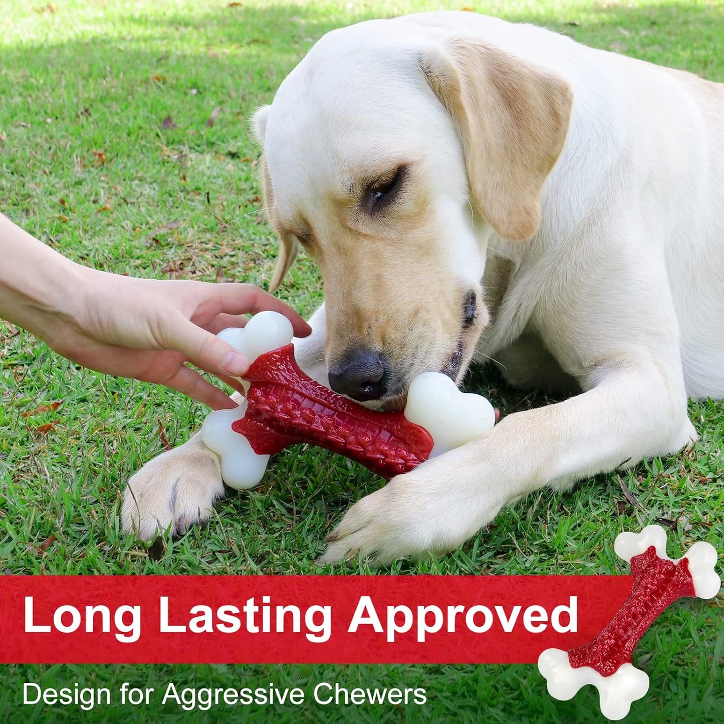 Tough Dog Toys, Toys for Aggressive Chewers Large Breed, Bone Toy Nylon Dogs Almost Indestructible