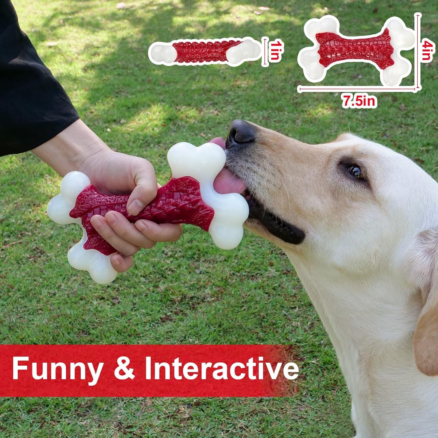 Tough Dog Toys, Toys for Aggressive Chewers Large Breed, Bone Toy Nylon Dogs Almost Indestructible