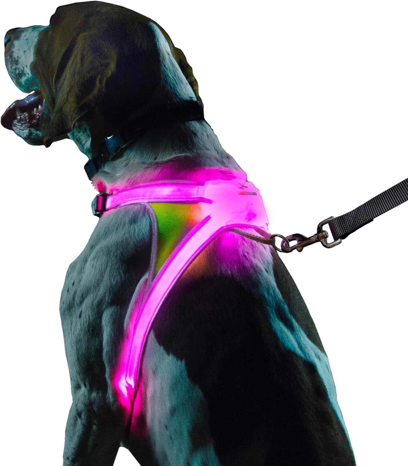 Lighthound – Revolutionary Illuminated and Reflective Harness for Dogs Including Multicolored LED Fiber Optics (USB Rechargeable, Adjustable, Lightweight, Rainproof)