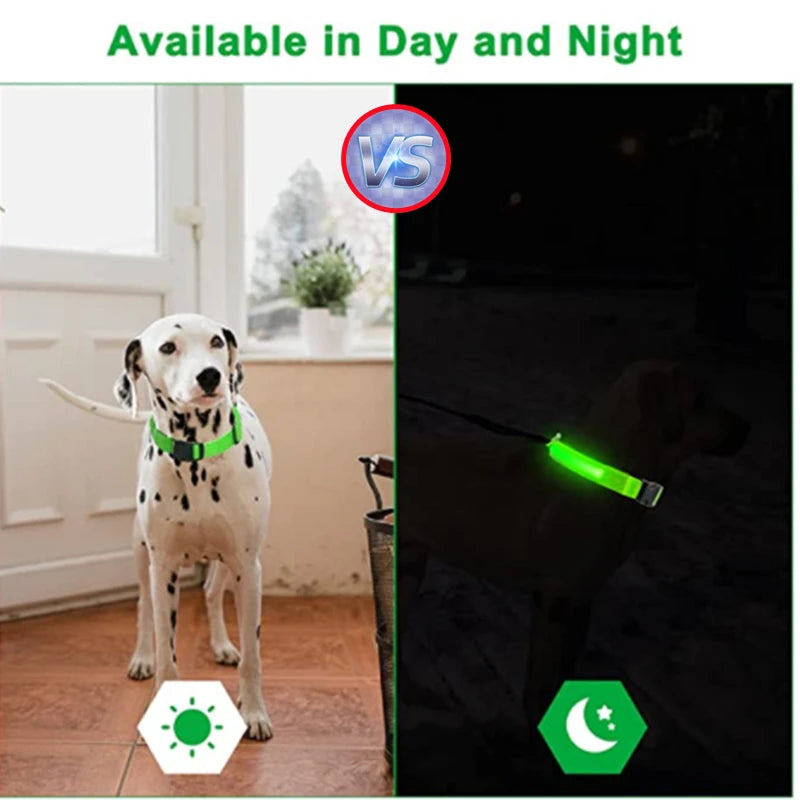 USB Rechargeable Luminous Collar Adjustable Led Glowing Dog & Cat Collar