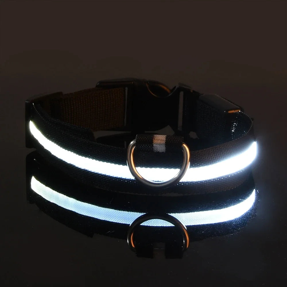 Dog Collar Nylon LED Night Safety Flashing Glow in the Dark Leash Luminous Fluorescent Collar