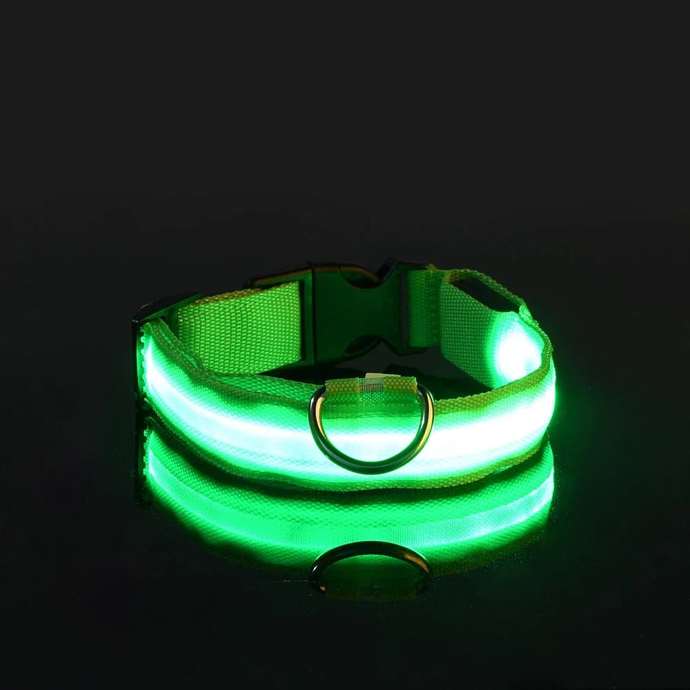 Dog Collar Nylon LED Night Safety Flashing Glow in the Dark Leash Luminous Fluorescent Collar