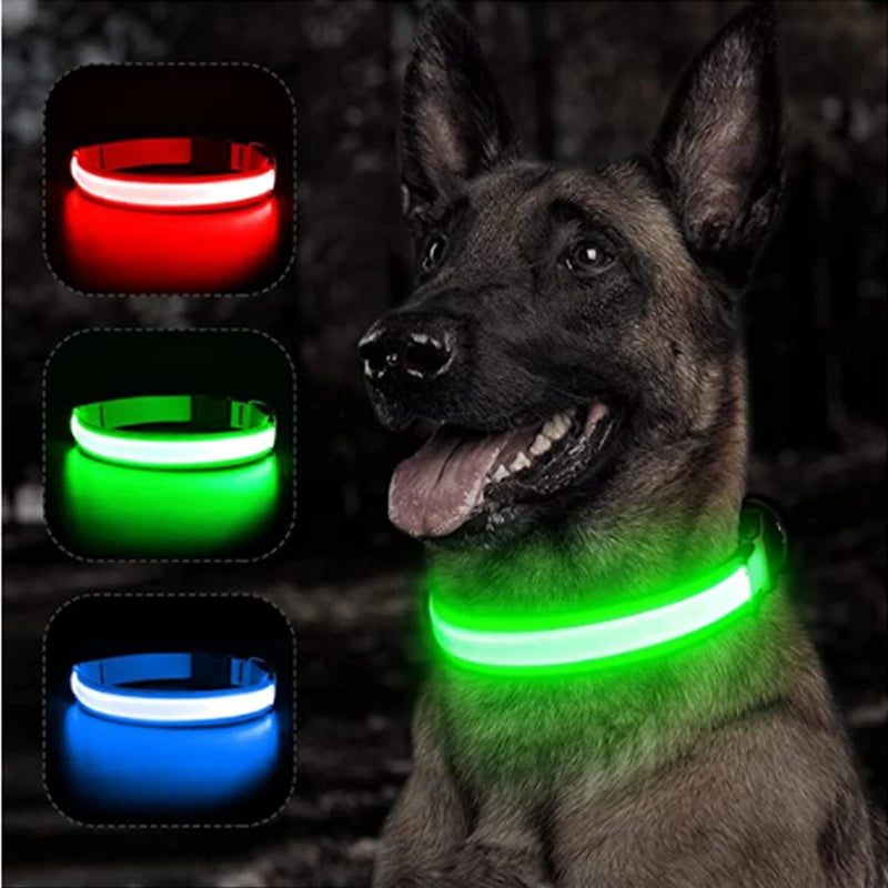 USB Rechargeable Luminous Collar Adjustable Led Glowing Dog & Cat Collar
