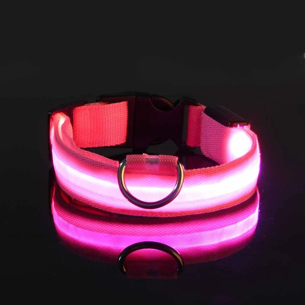Dog Collar Nylon LED Night Safety Flashing Glow in the Dark Leash Luminous Fluorescent Collar