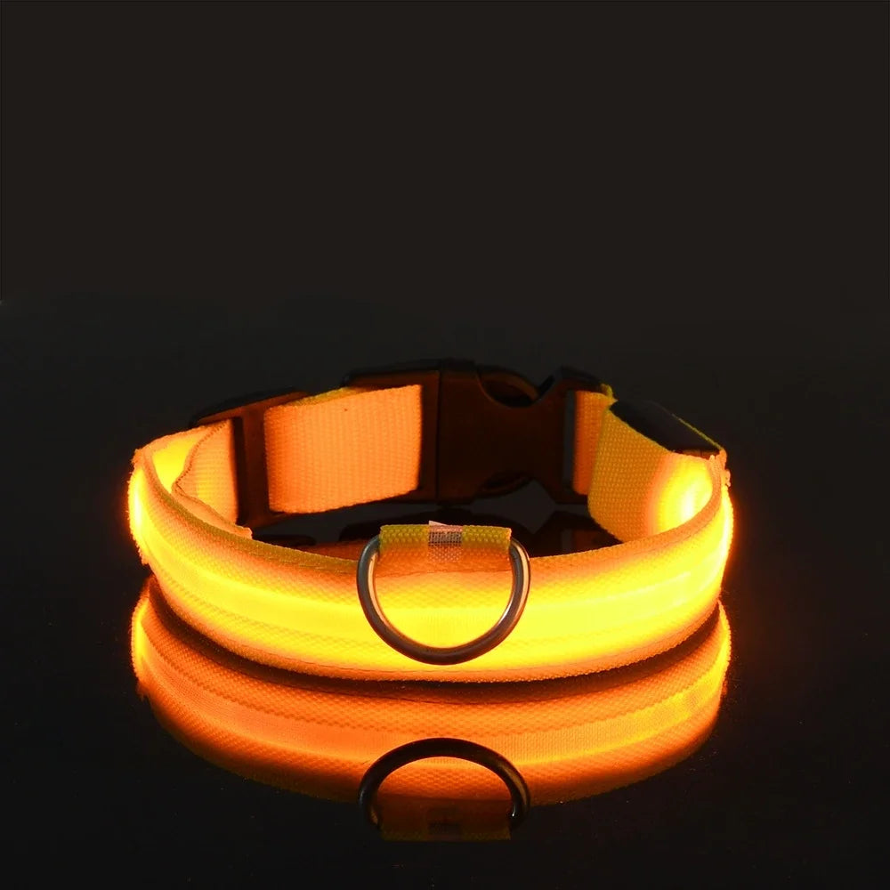 Dog Collar Nylon LED Night Safety Flashing Glow in the Dark Leash Luminous Fluorescent Collar