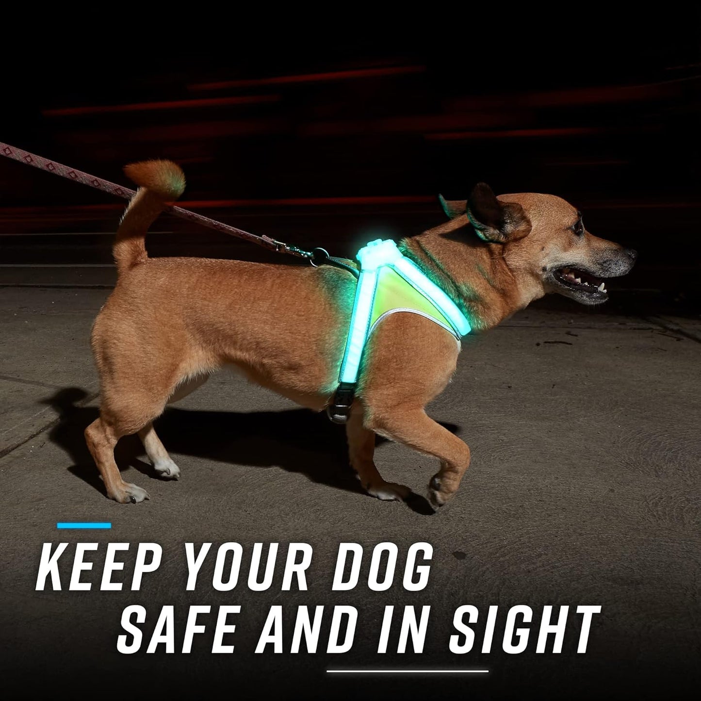 Lighthound – Revolutionary Illuminated and Reflective Harness for Dogs Including Multicolored LED Fiber Optics (USB Rechargeable, Adjustable, Lightweight, Rainproof)
