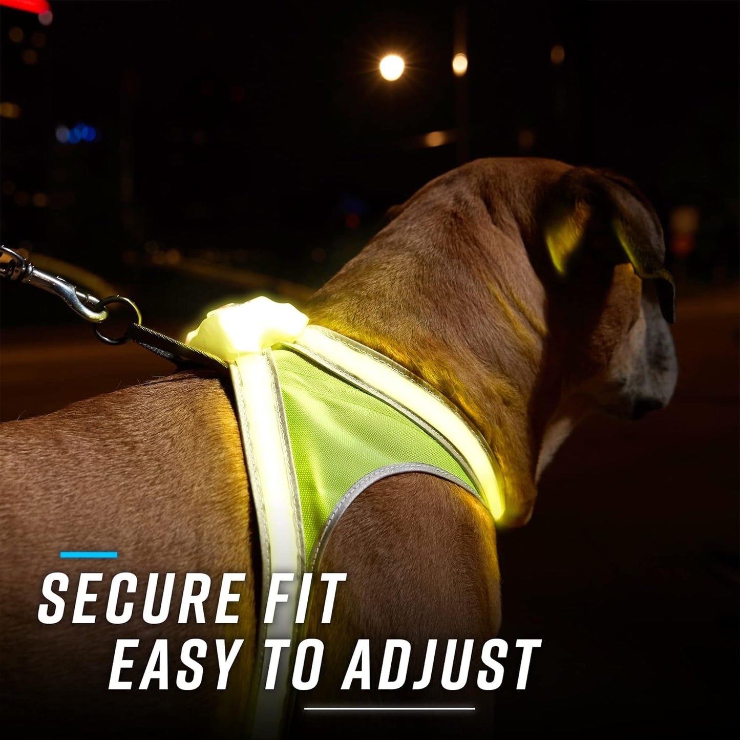 Lighthound – Revolutionary Illuminated and Reflective Harness for Dogs Including Multicolored LED Fiber Optics (USB Rechargeable, Adjustable, Lightweight, Rainproof)