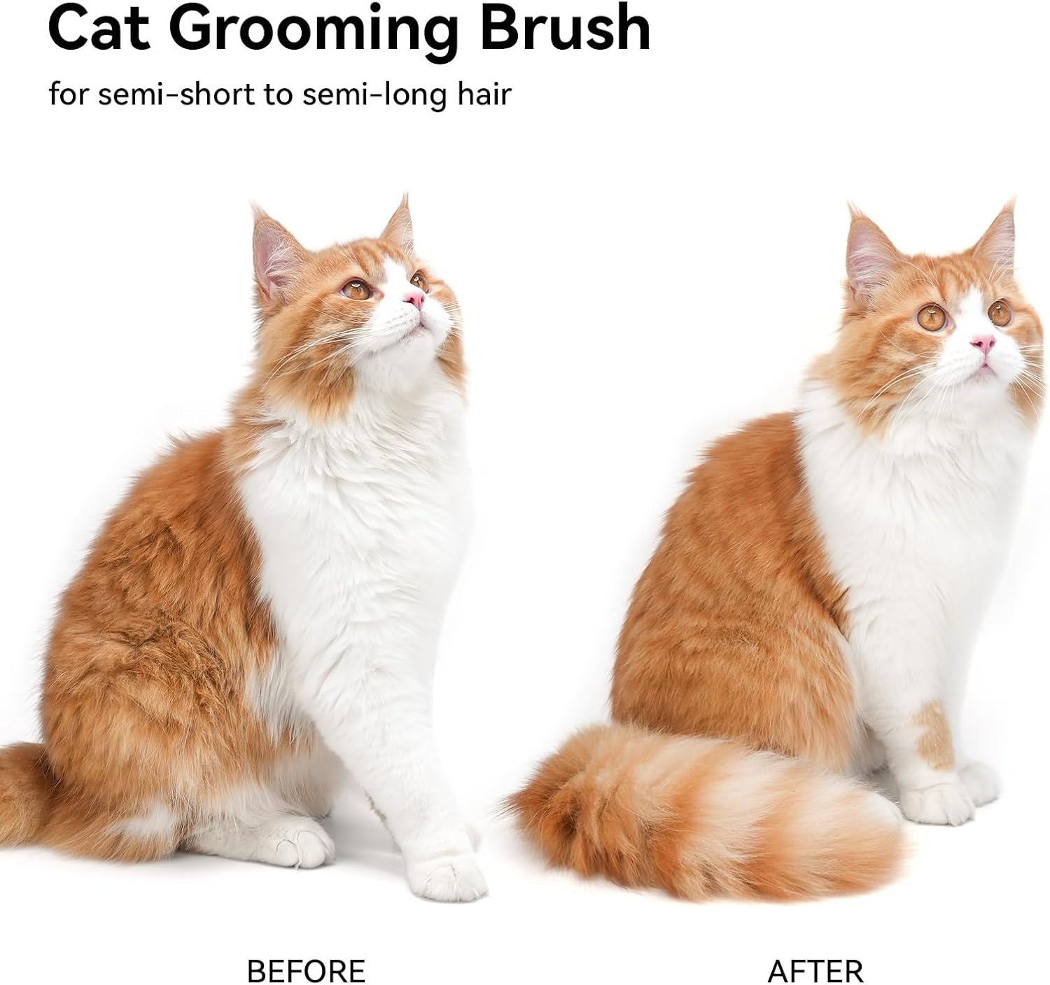 Cat Brush for Shedding, Cat Brushes for Indoor Cats, Cat Brush for Long or Short Haired Cats, Cat Hair Brush Cat Grooming Deshedding Brush for Dog Kitten Rabbit Massage Removes Loose Fur, White