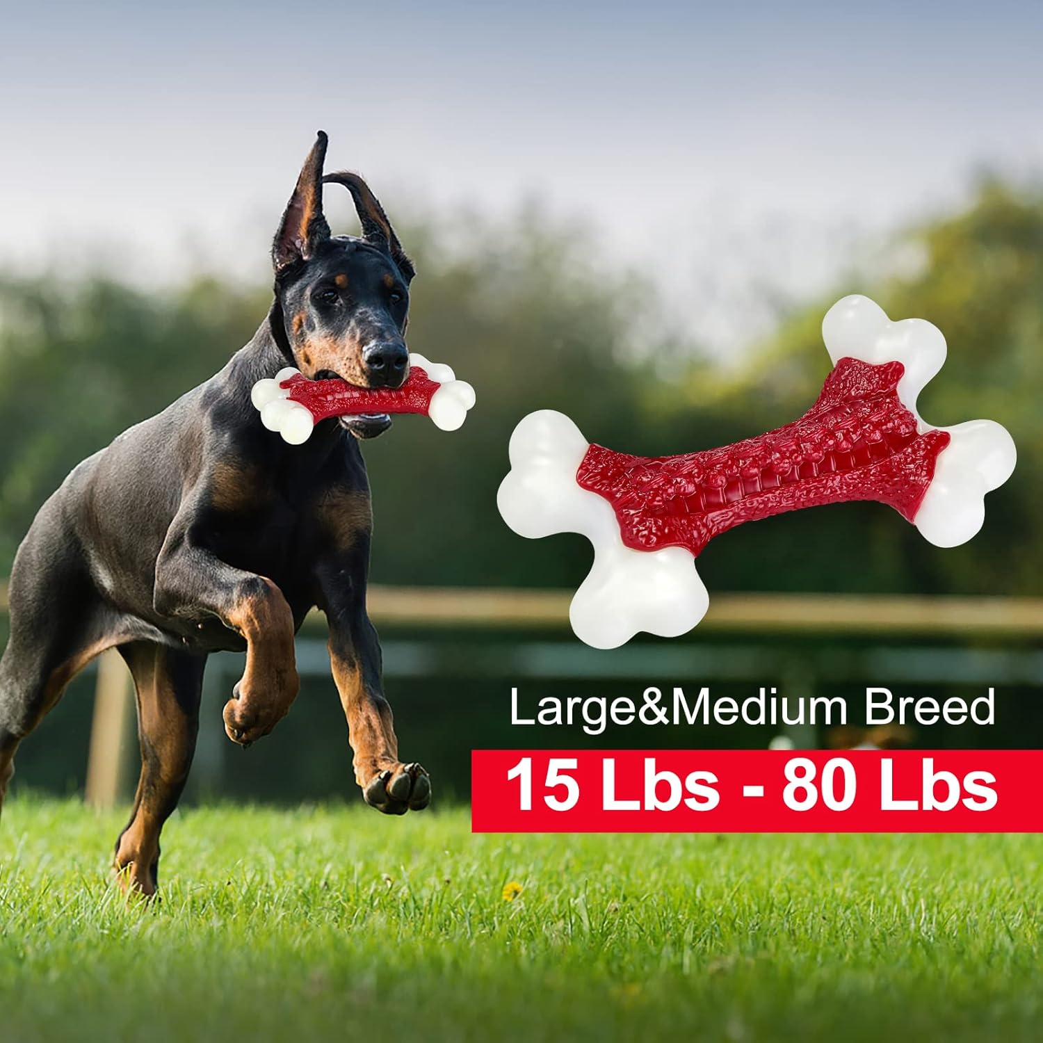 Tough Dog Toys, Toys for Aggressive Chewers Large Breed, Bone Toy Nylon Dogs Almost Indestructible