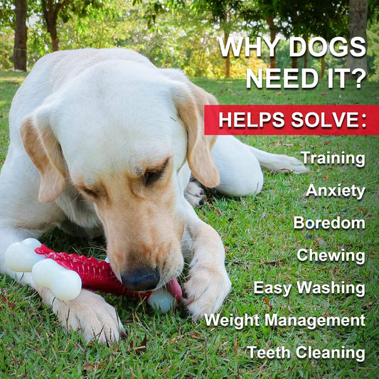 Tough Dog Toys, Toys for Aggressive Chewers Large Breed, Bone Toy Nylon Dogs Almost Indestructible