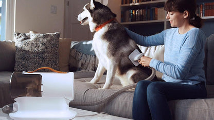 Dog Grooming Vacuum, Dog Grooming Kit,12000Pa Strong Pet Grooming Vacuum for Dogs, 2L Large Capacity Dog Vacuum for Shedding Grooming Hair, Dog Hair Vacuum, 5 Pet Grooming Tools, Quiet, Pg100