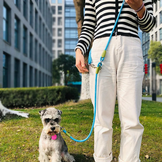 Reflective Nylon Leashes Dogs Chain Traction Rope Leads for Running & Walking Free Hands