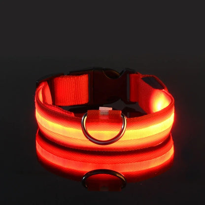 Dog Collar Nylon LED Night Safety Flashing Glow in the Dark Leash Luminous Fluorescent Collar