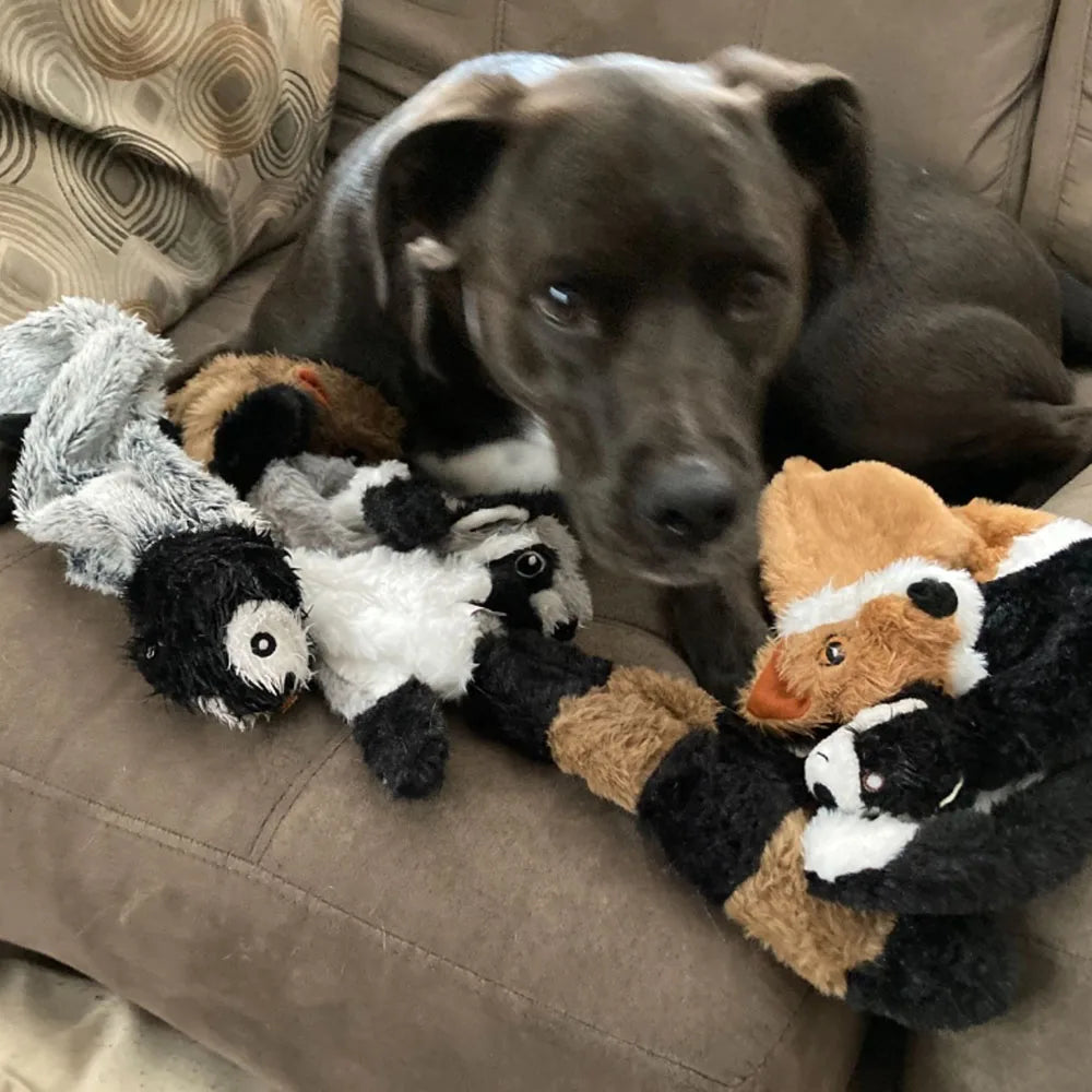 Dog Toy with Squeakers, Durable Plush Squeaky Chew Toy