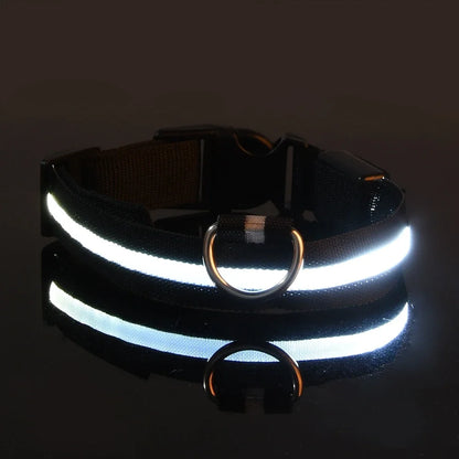 Dog Collar Nylon LED Night Safety Flashing Glow in the Dark Leash Luminous Fluorescent Collar