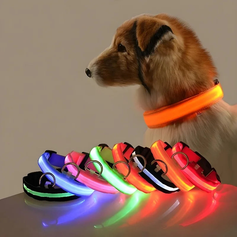 Dog Collar Nylon LED Night Safety Flashing Glow in the Dark Leash Luminous Fluorescent Collar