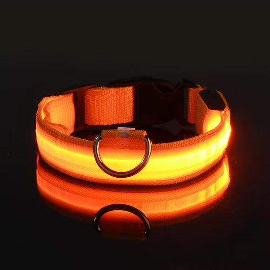 Dog Collar Nylon LED Night Safety Flashing Glow in the Dark Leash Luminous Fluorescent Collar