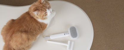 Cat Brush for Shedding, Removes Loose Fur