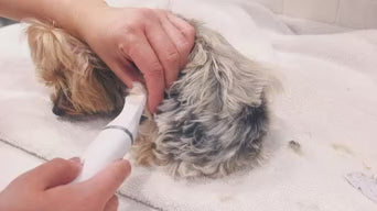 Dog Clippers Grooming Kit, Low Noise Paw Trimmer, Rechargeable & Cordless