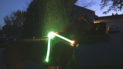 Lighthound – Revolutionary Illuminated and Reflective Harness for Dogs Including Multicolored LED Fiber Optics (USB Rechargeable, Adjustable, Lightweight, Rainproof)