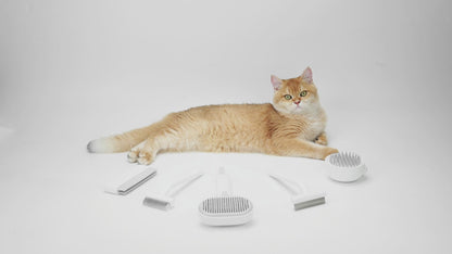 Cat Brush for Shedding, Removes Loose Fur
