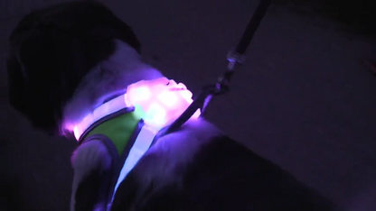 Lighthound – Revolutionary Illuminated and Reflective Harness for Dogs Including Multicolored LED Fiber Optics (USB Rechargeable, Adjustable, Lightweight, Rainproof)