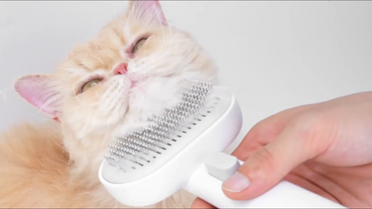 Cat Brush for Shedding, Removes Loose Fur